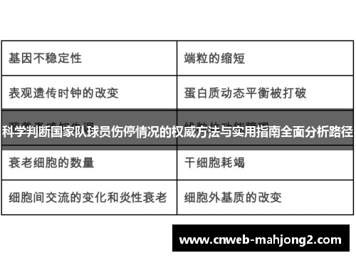 科学判断国家队球员伤停情况的权威方法与实用指南全面分析路径